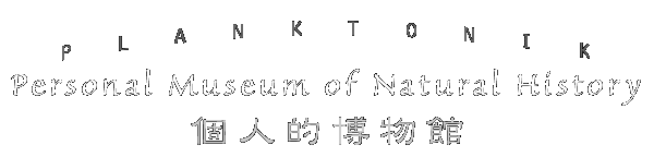 personal museum of natural history - 個人的博物館