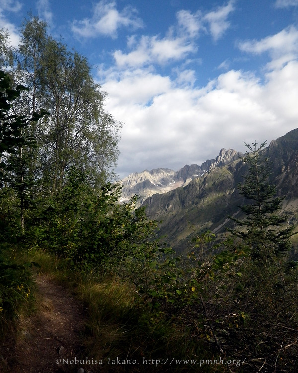 1008ecrins26