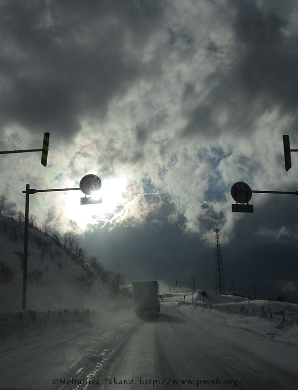 1403hokkaido02