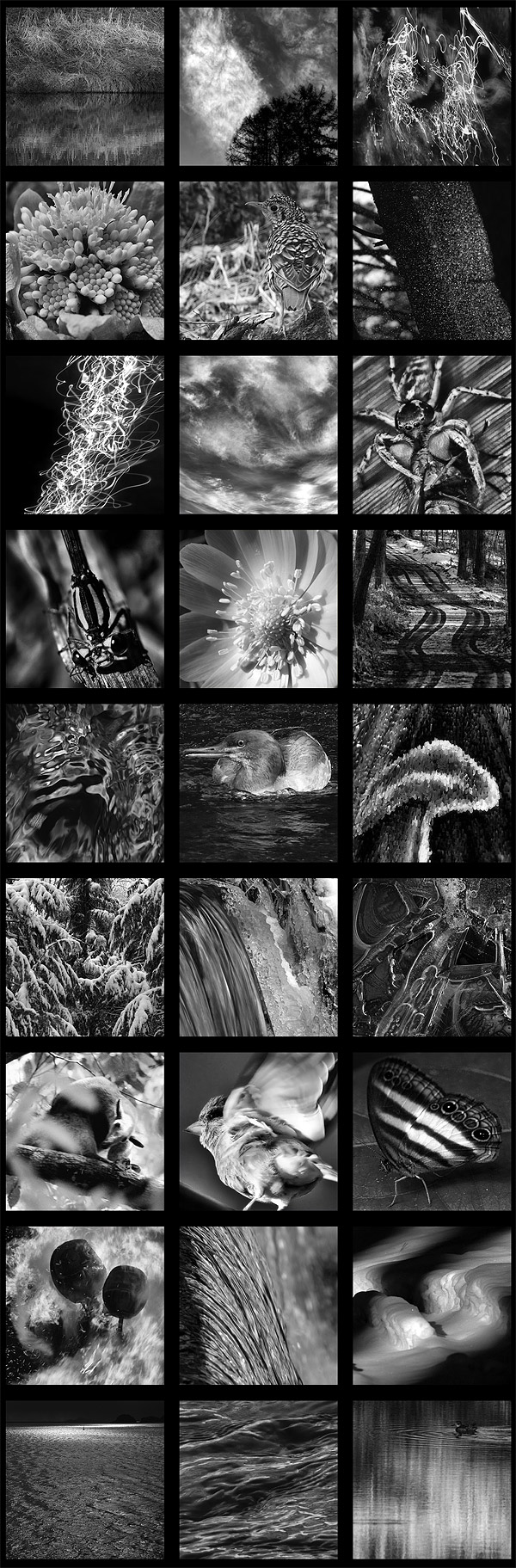 1705thumbnails00