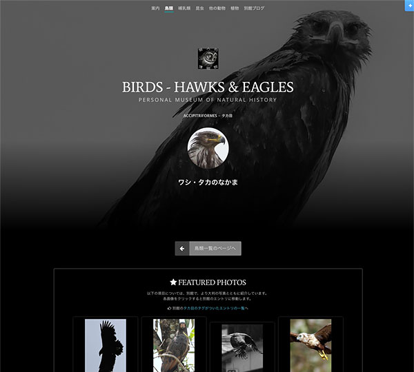 1912birds_newlook01