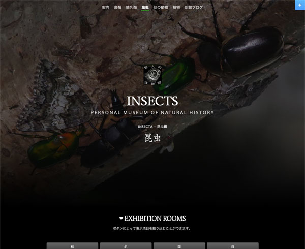 2510insects_screenshot01