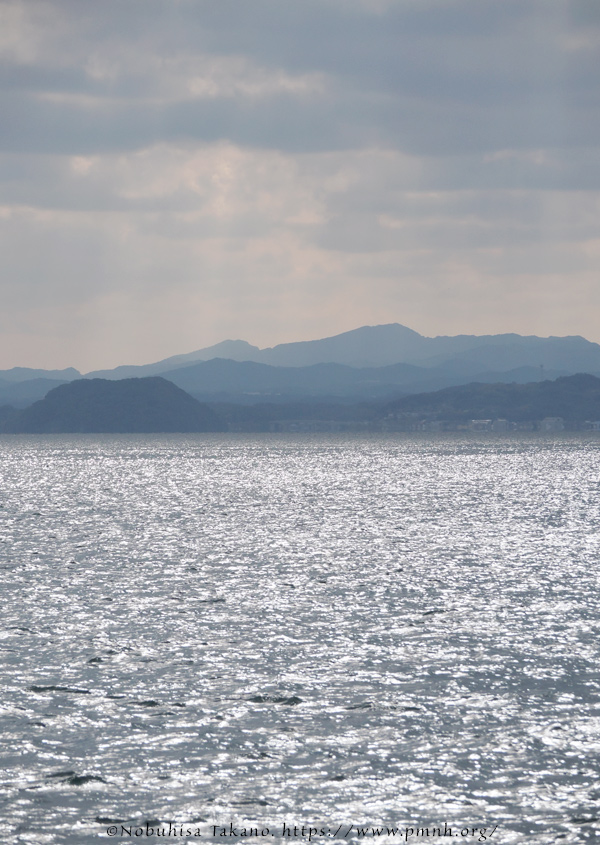 2511scape@kuninotsu3064