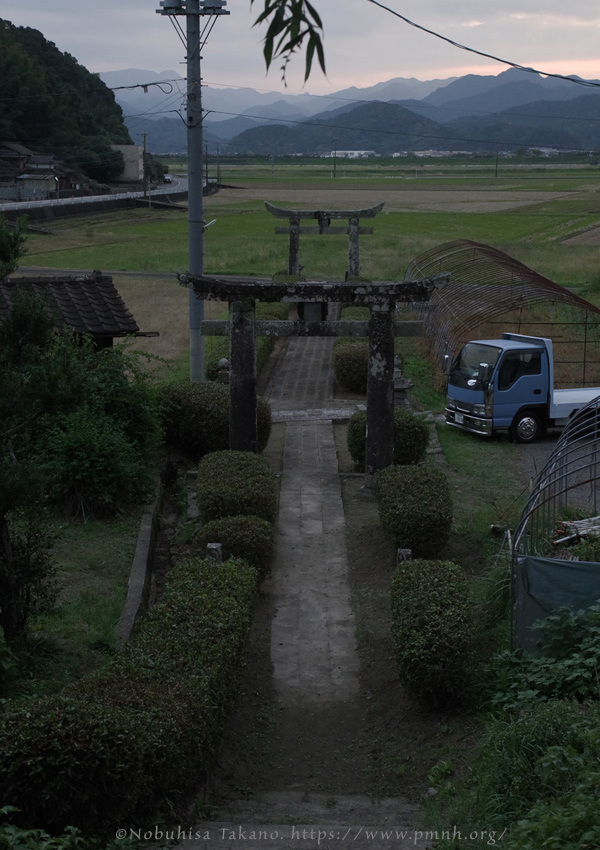 2511scape@tenmanjinja_ureshino9250