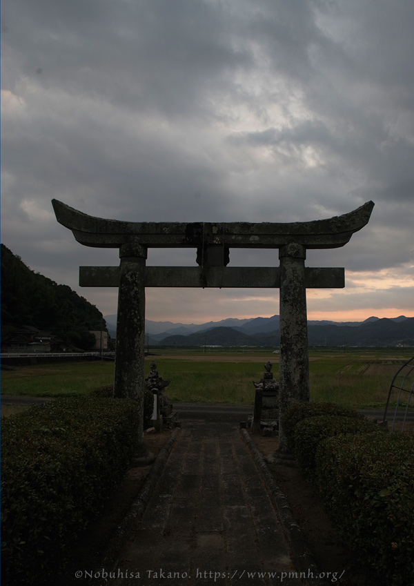 2511scape@tenmanjinja_ureshino9258