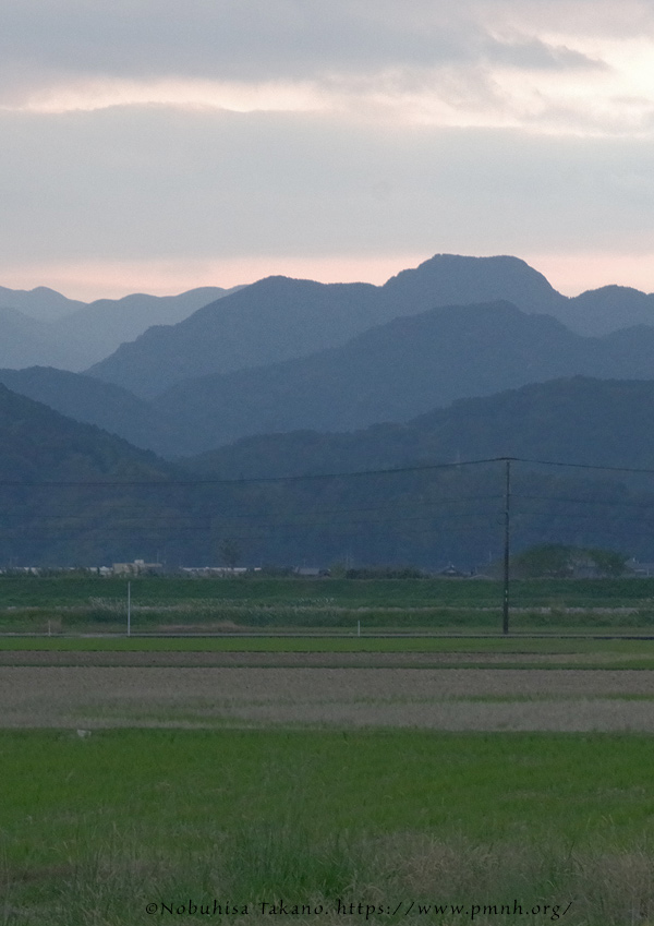 2511scape@tenmanjinja_ureshino9263